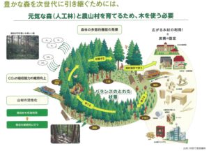 石川県の地域材について｜木材の種類(スギ、能登ヒバ等) - フルタニ