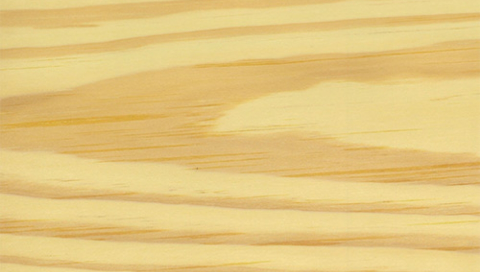 イエローパイン