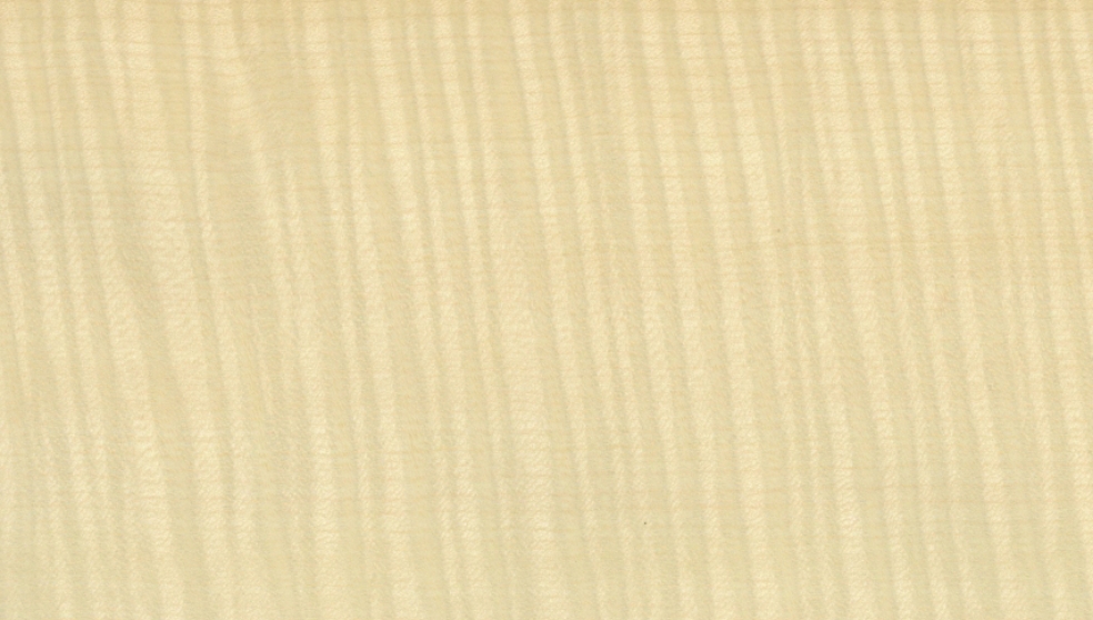 ホワイトシカモア