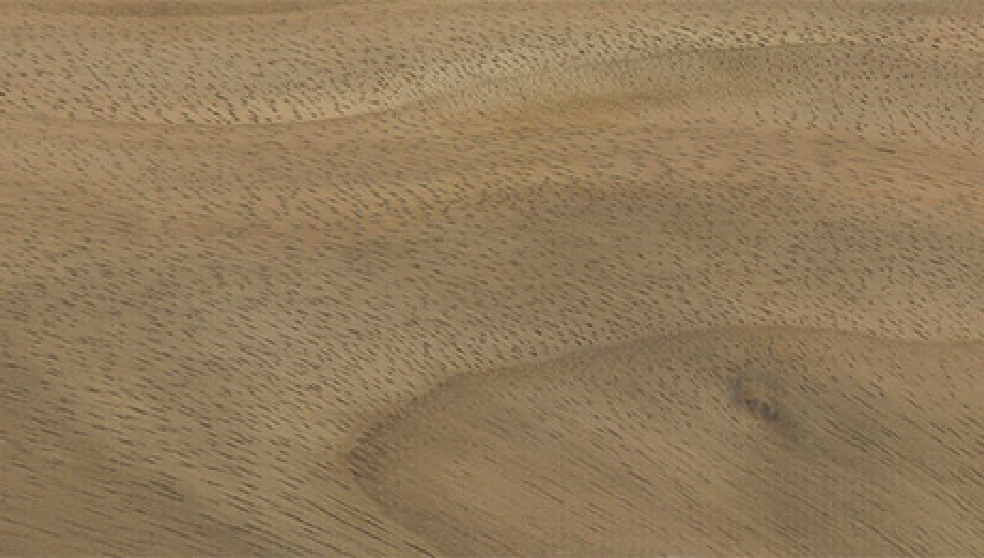 モンキーポッド