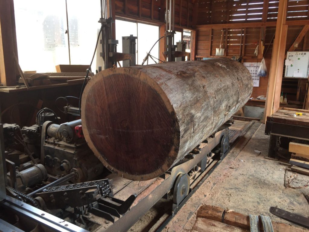 パープルハート