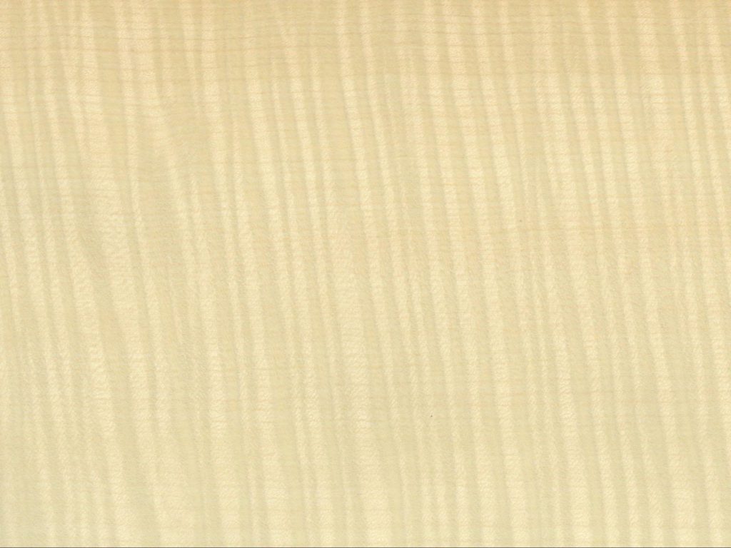 シカモア