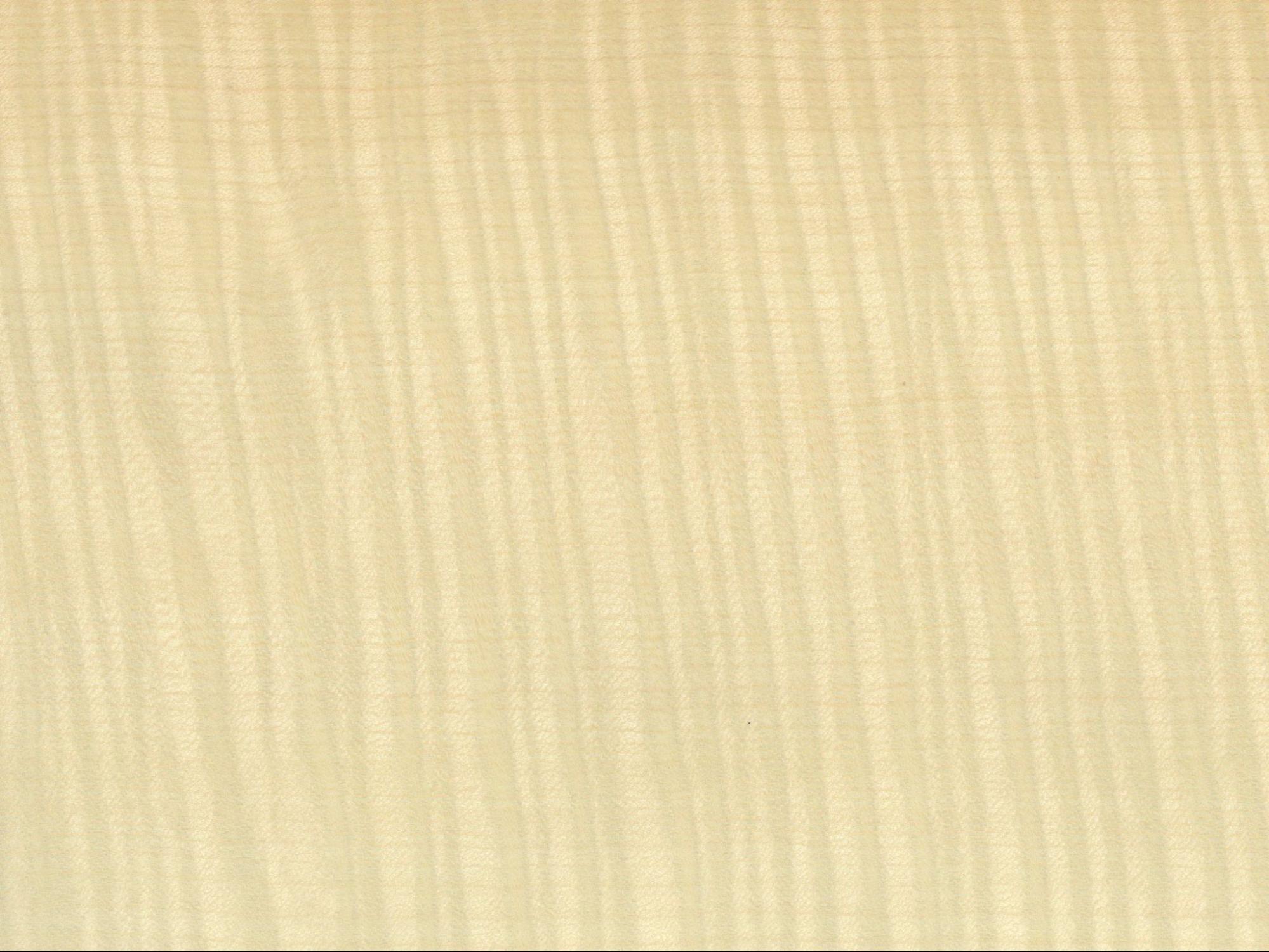 シカモア
